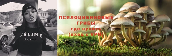 герыч Снежинск