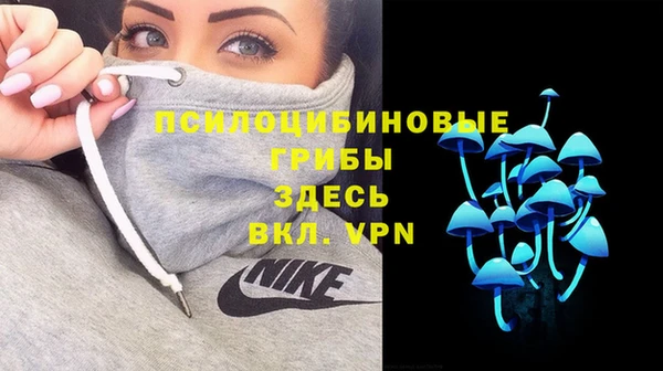 прущие крисы Белокуриха