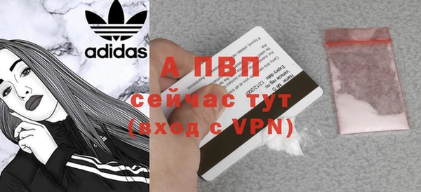 прущие крисы Белокуриха
